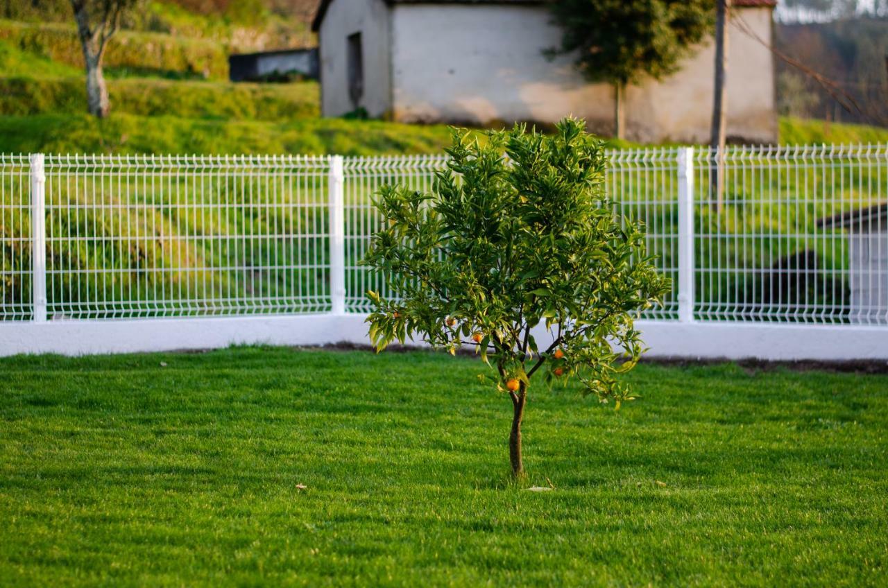 Casa Leite Konuk evi Amarante Dış mekan fotoğraf